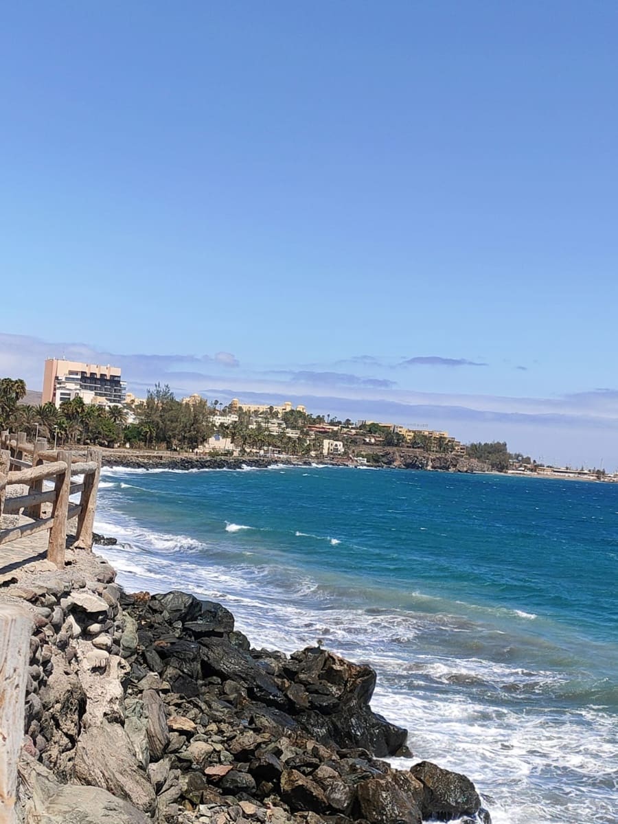 2 Zimmer Apartment zu vermieten in Bahia Feliz mit Pool - 2.900 € (Ref: 9030925)