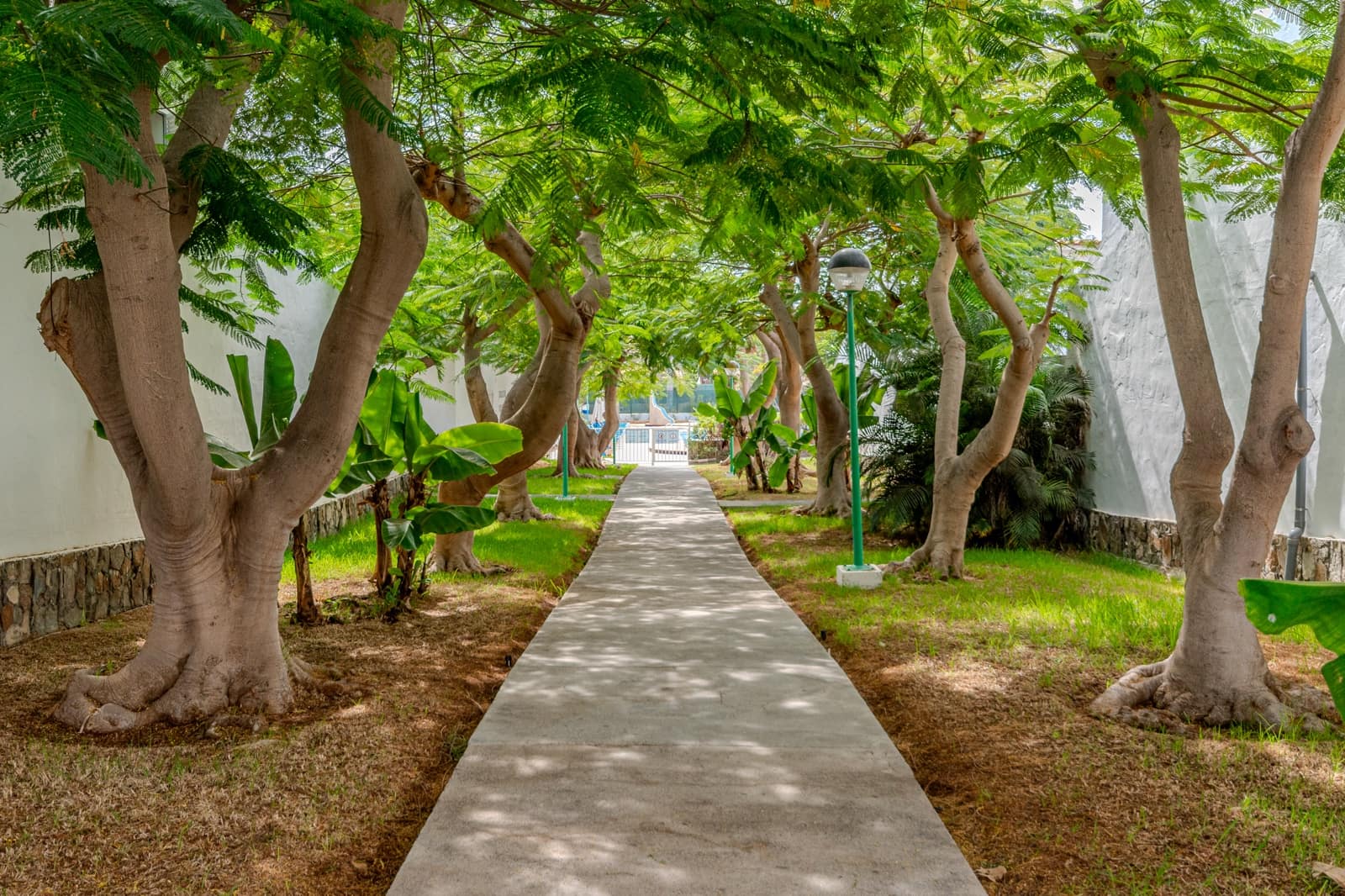 4 chambre Villa/Maison Mitoyenne à vendre à Maspalomas avec piscine - 695 000 € (Ref: 9352163)