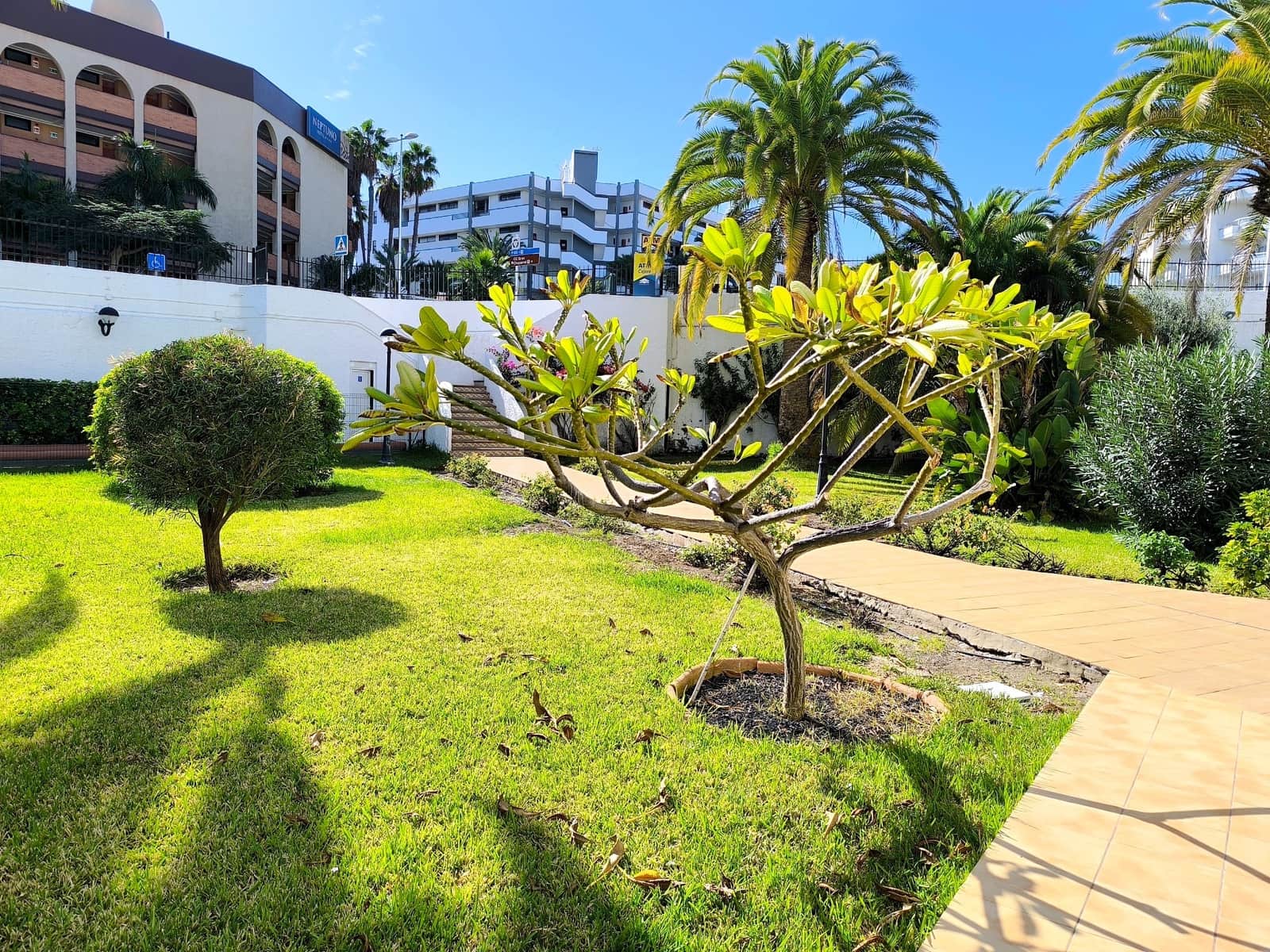 1 chambre Appartement à vendre à Playa del Ingles avec piscine - 159 900 € (Ref: 9529056)