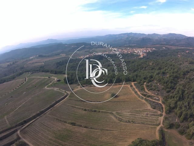 15 sypialnia Finka/Dom wiejski na sprzedaż w El Molar z basenem - 5 250 000 € (Ref: 8296108)