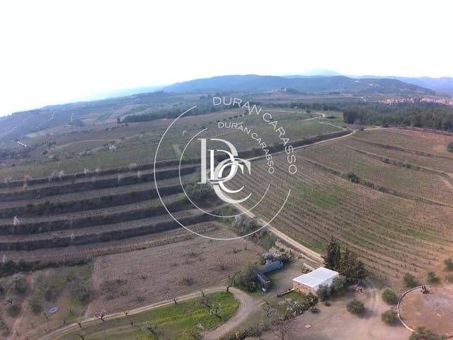 15 sypialnia Finka/Dom wiejski na sprzedaż w El Molar z basenem - 5 250 000 € (Ref: 8296108)