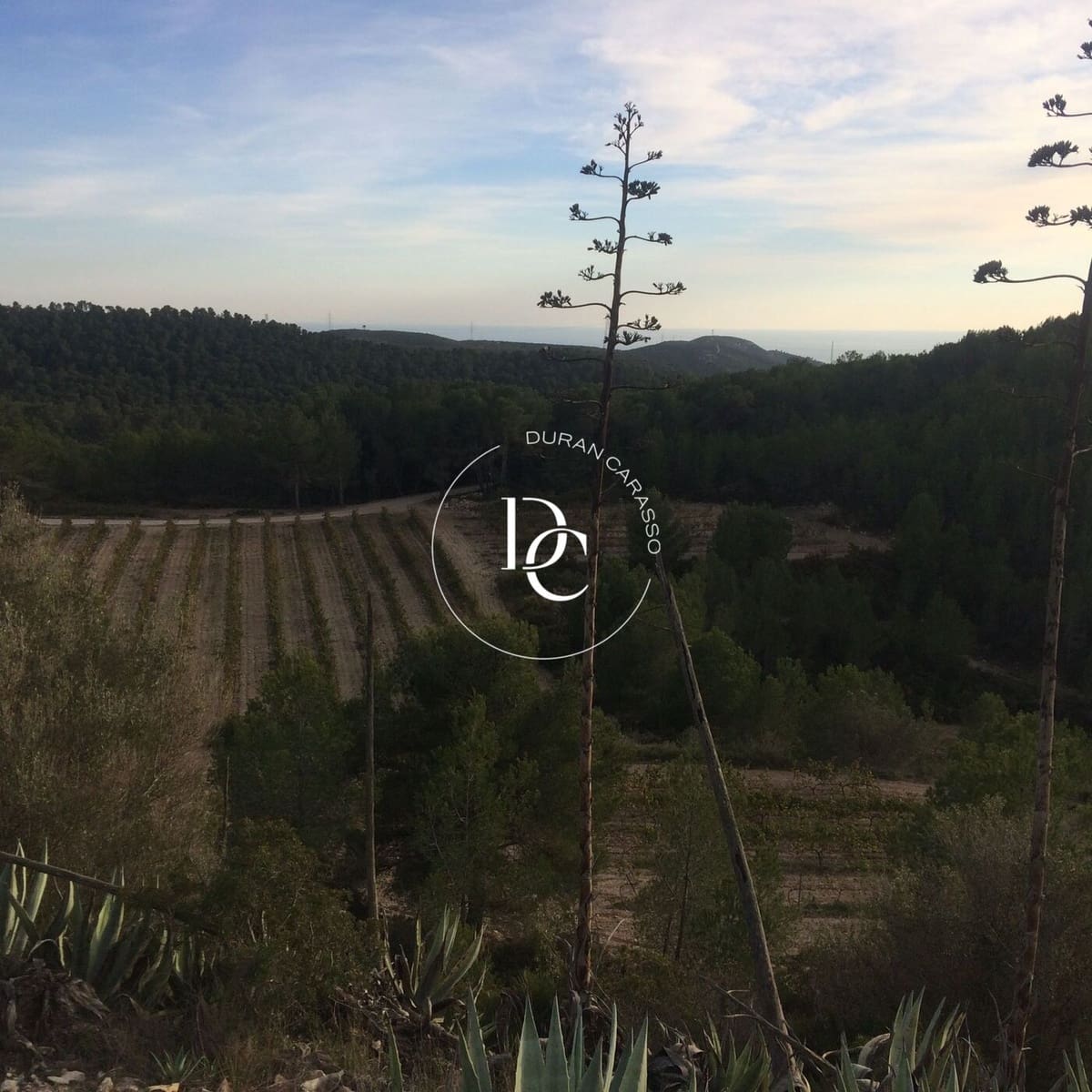 Finca/Hus på landet till salu i Vilafranca del Penedes - 2 200 000 € (Ref: 8313838)