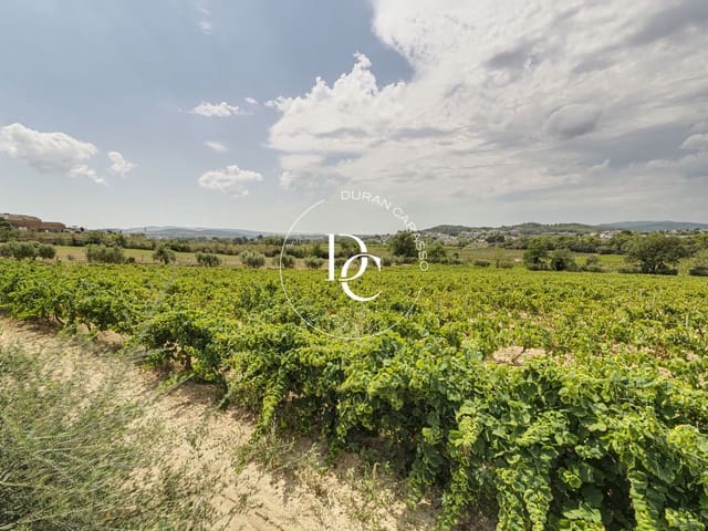 9 bedroom Finca/Country House for sale in Font-rubí with pool - € 1,800,000 (Ref: 8557538)