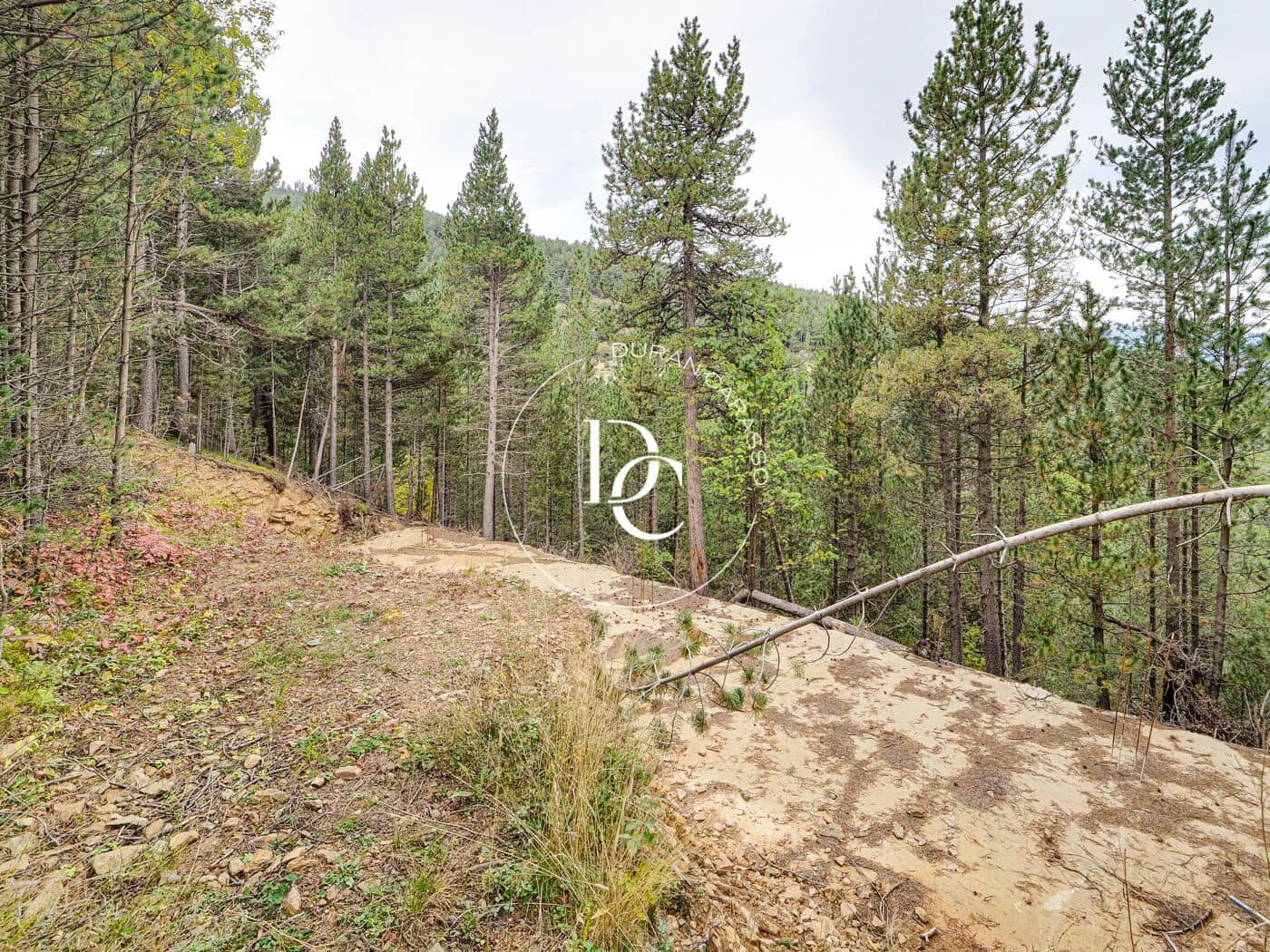 Byggegrund til salg i Alp - € 160.000 (Ref: 8678064)