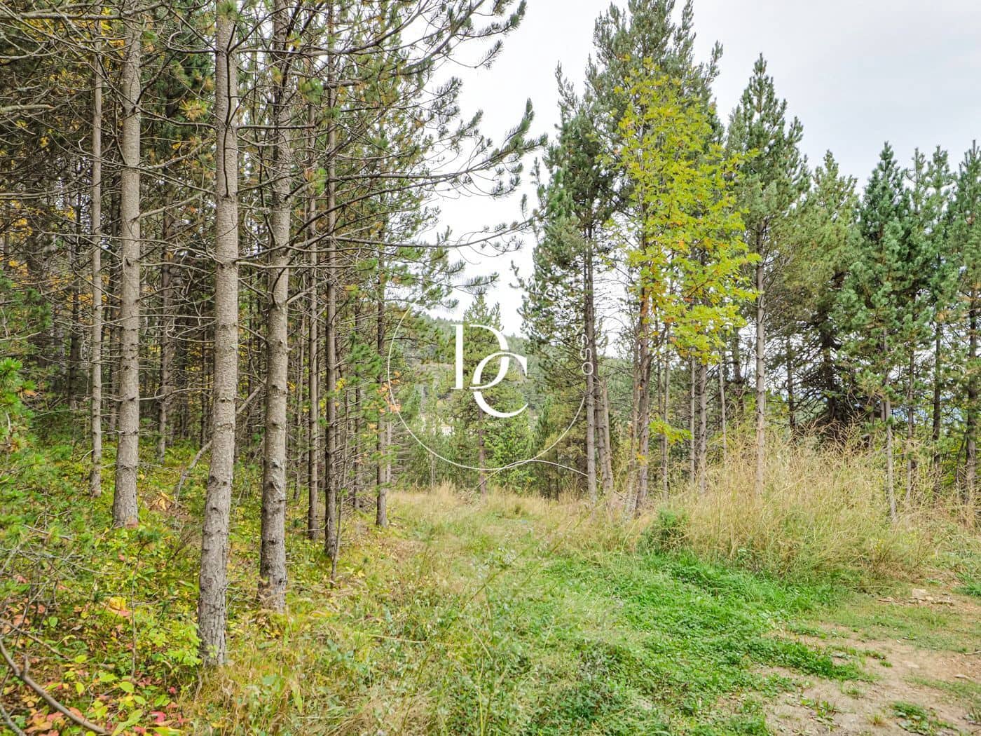 Byggegrund til salg i Alp - € 160.000 (Ref: 8678064)