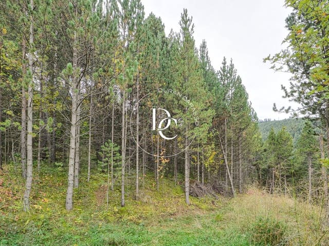 Byggegrund til salg i Alp - € 160.000 (Ref: 8678064)