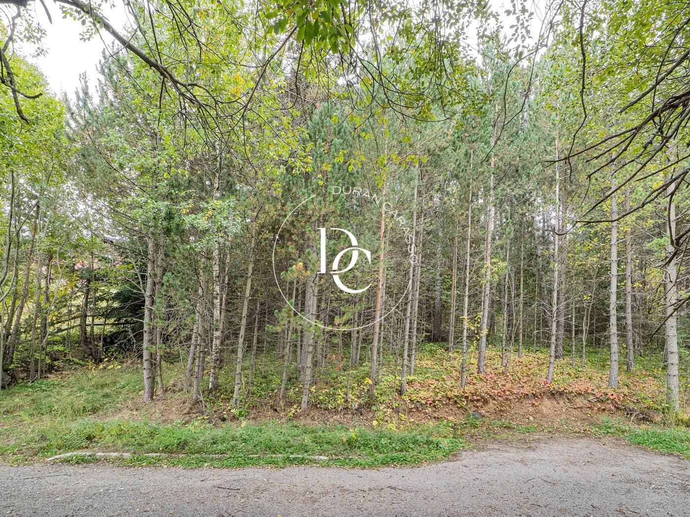 Byggegrund til salg i Alp - € 160.000 (Ref: 8678064)