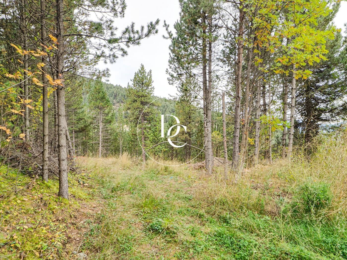 Byggegrund til salg i Alp - € 160.000 (Ref: 8678064)