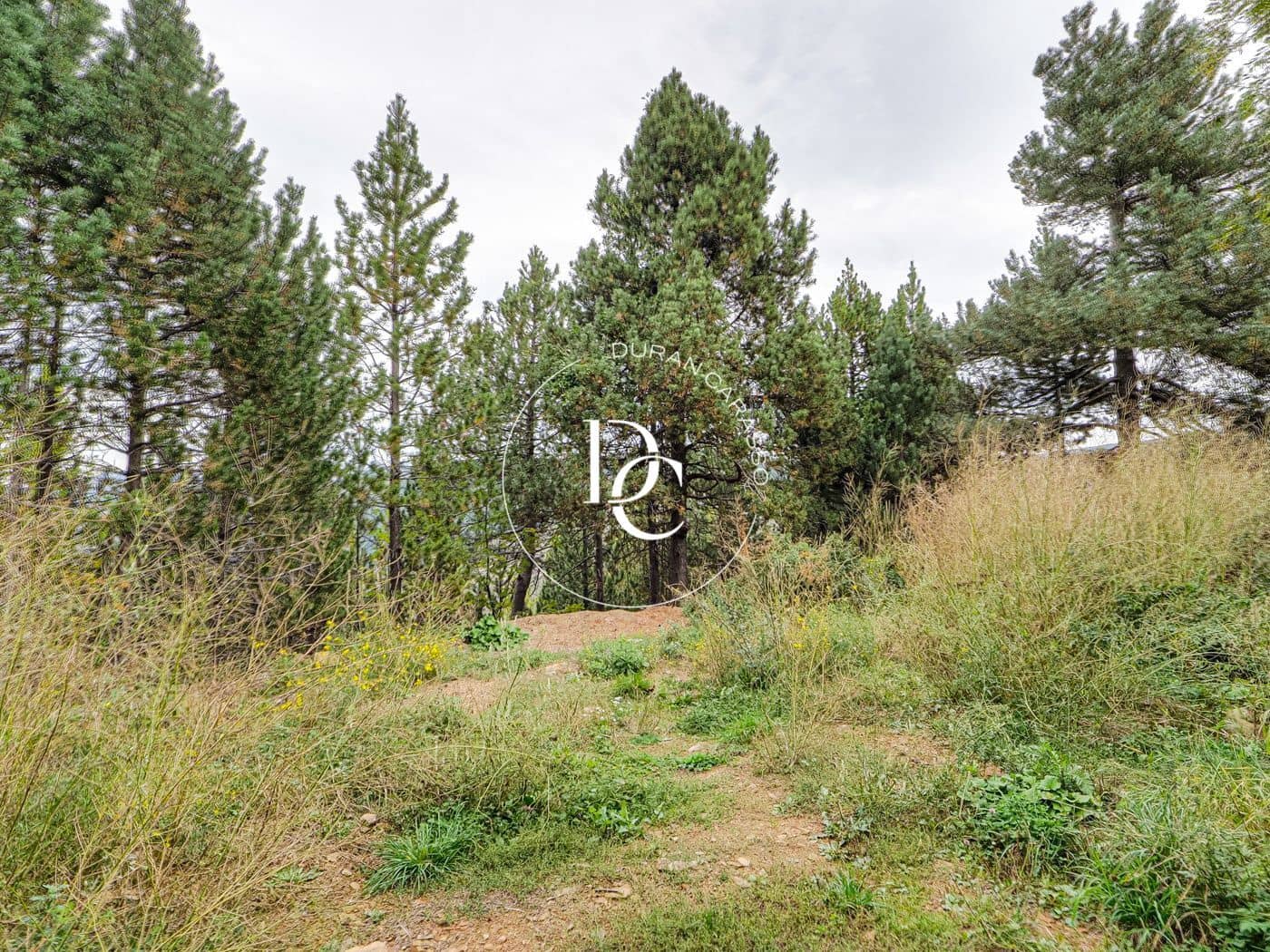 Byggegrund til salg i Alp - € 160.000 (Ref: 8678064)