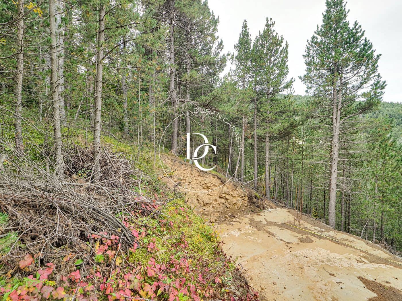 Byggegrund til salg i Alp - € 160.000 (Ref: 8678064)