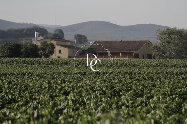 12 bedroom Finca/Country House for sale in Castellet i la Gornal - € 2,200,000 (Ref: 8784019)