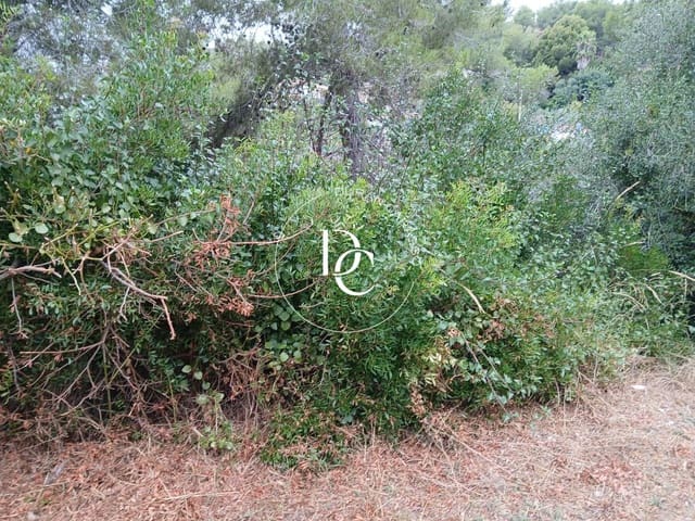 Building Plot for sale in Olivella - € 35,000 (Ref: 9183890)