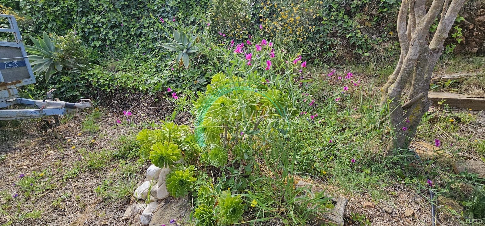 5 soveværelse Villa til salg i Torrox med swimmingpool garage - € 485.000 (Ref: 8354279)