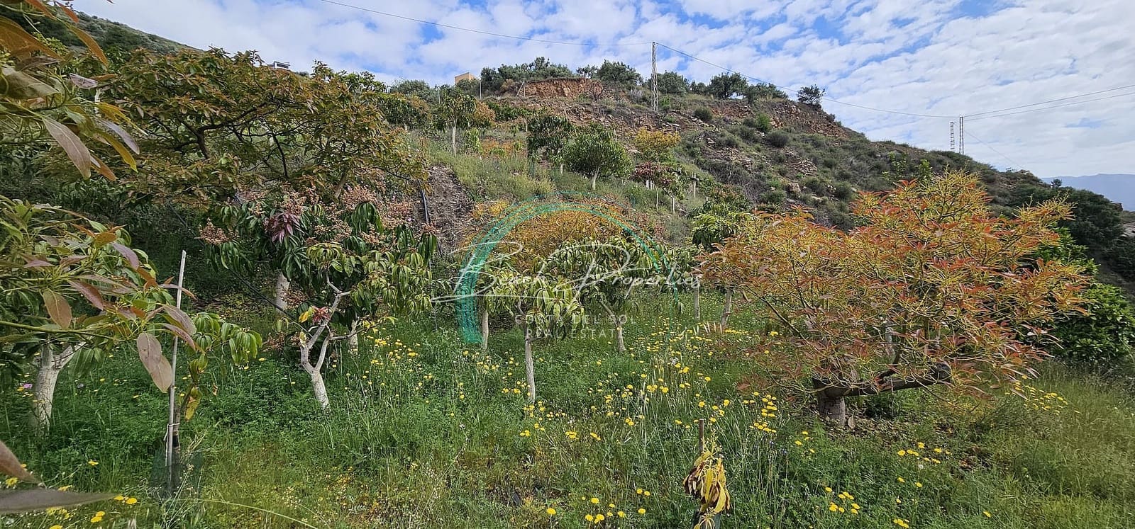 5 soveværelse Villa til salg i Torrox med swimmingpool garage - € 485.000 (Ref: 8354279)