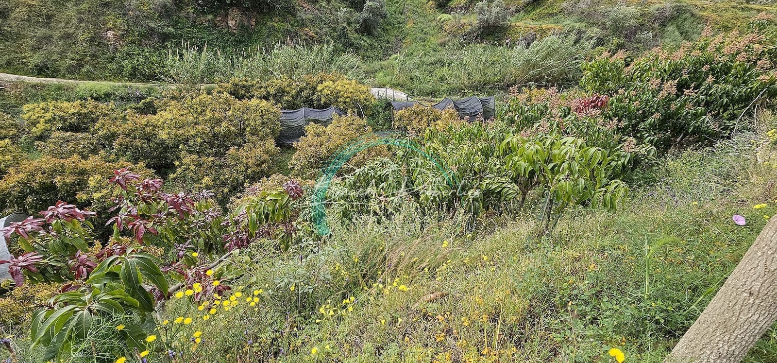 5 soveværelse Villa til salg i Torrox med swimmingpool garage - € 485.000 (Ref: 8354279)