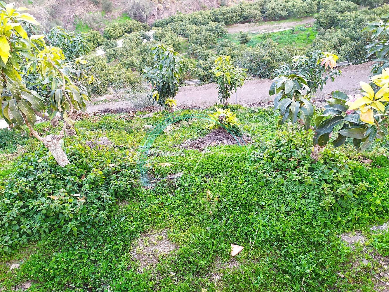 Casa de 3 habitaciones en Torrox en alquiler con piscina garaje - 900 € (Ref: 8390164)