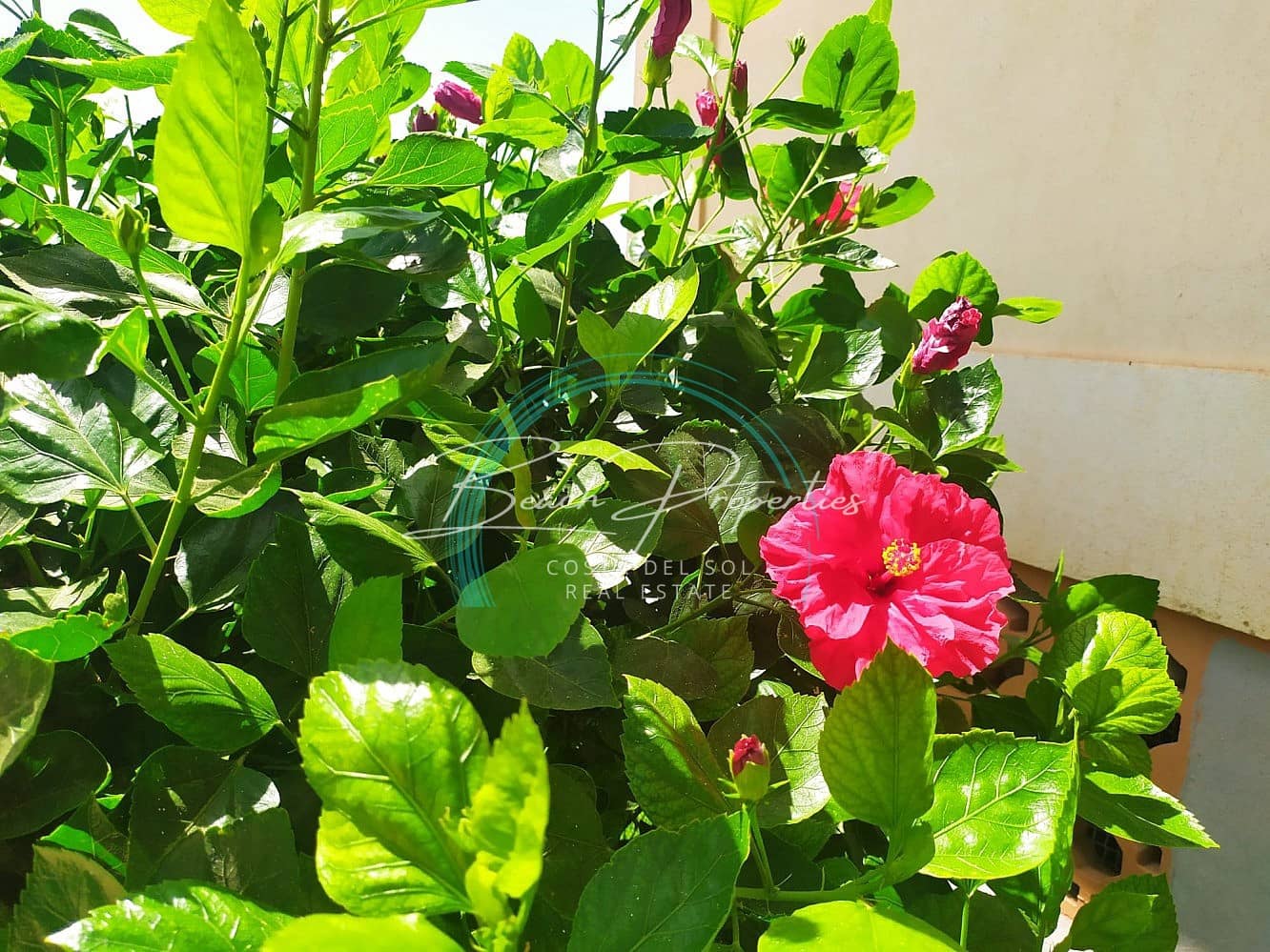 1 sovrum Lägenhet till salu i El Penoncillo - 265 000 € (Ref: 8773875)