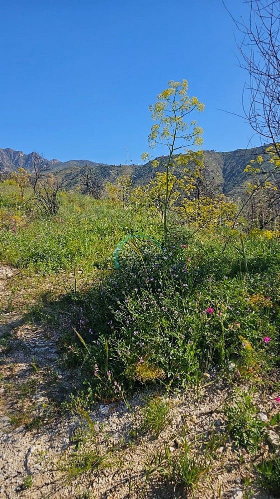 3 sovrum Villa till salu i Almunecar med garage - 300 000 € (Ref: 8950865)