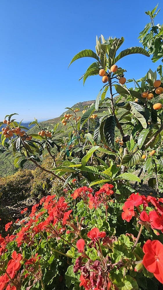 3 sovrum Villa till salu i Almunecar med garage - 300 000 € (Ref: 8950865)