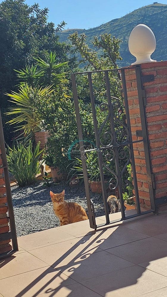 3 sovrum Villa till salu i Almunecar med garage - 300 000 € (Ref: 8950865)