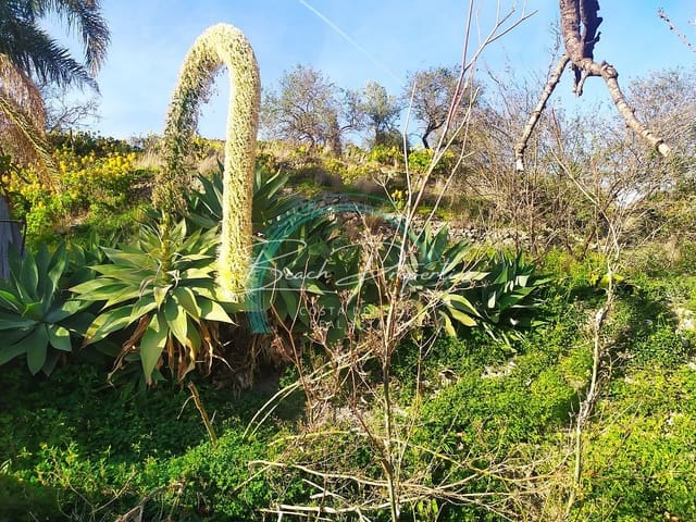 3 soverom Villa til salgs i Almuñécar med svømmebasseng garasje - € 530 000 (Ref: 8981846)