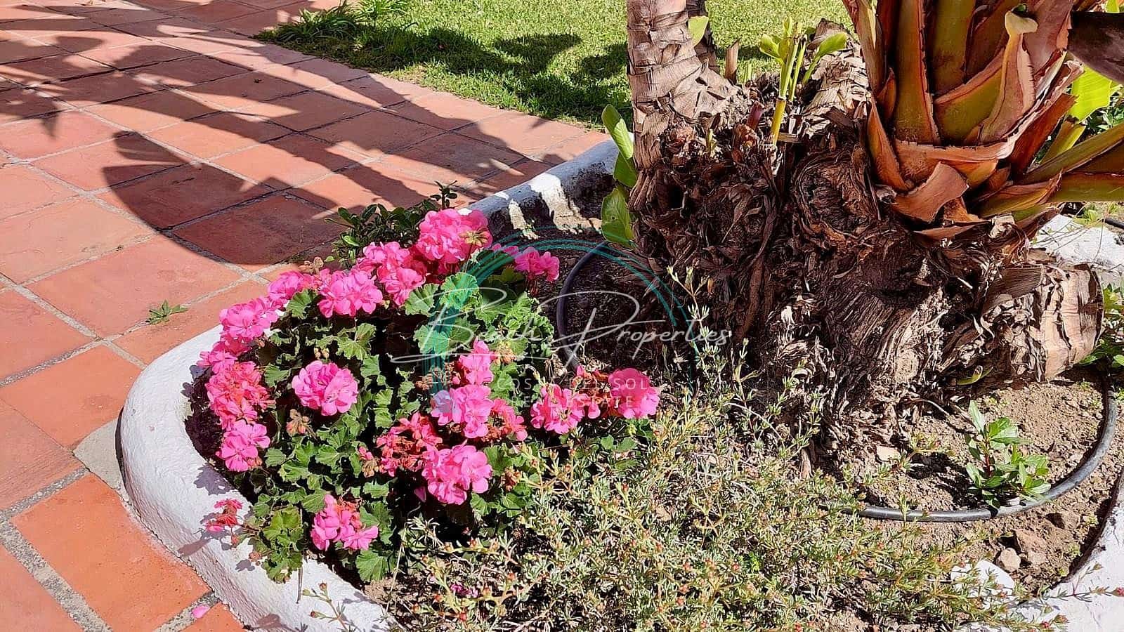 2 sovrum Villa till salu i Nerja med pool - 334 500 € (Ref: 8998665)