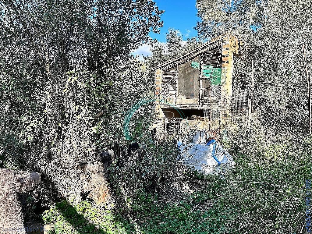 5 sovrum Hus till salu i Comares - 134 900 € (Ref: 9103352)