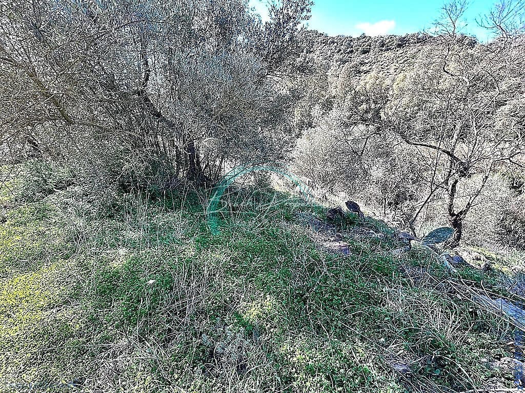 5 sovrum Hus till salu i Comares - 134 900 € (Ref: 9103352)