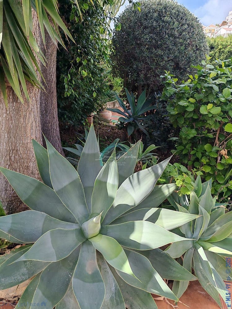 5 quarto Casa em Banda para venda em Nerja com piscina garagem - 1 095 000 € (Ref: 9114460)