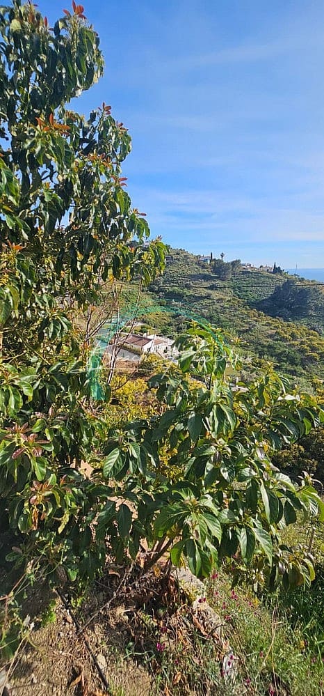 4 sypialnia Willa na sprzedaż w Torrox z basenem garażem - 370 000 € (Ref: 9784760)