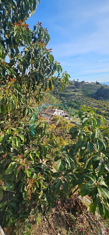 4 sypialnia Willa na sprzedaż w Torrox z basenem garażem - 370 000 € (Ref: 9784760)