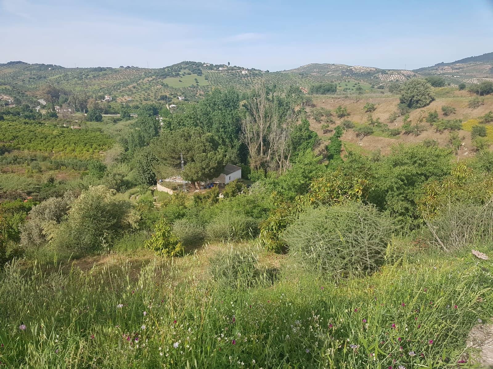 2 soveværelse Finca/Landehus til salg i Tolox med swimmingpool - € 299.000 (Ref: 6931119)