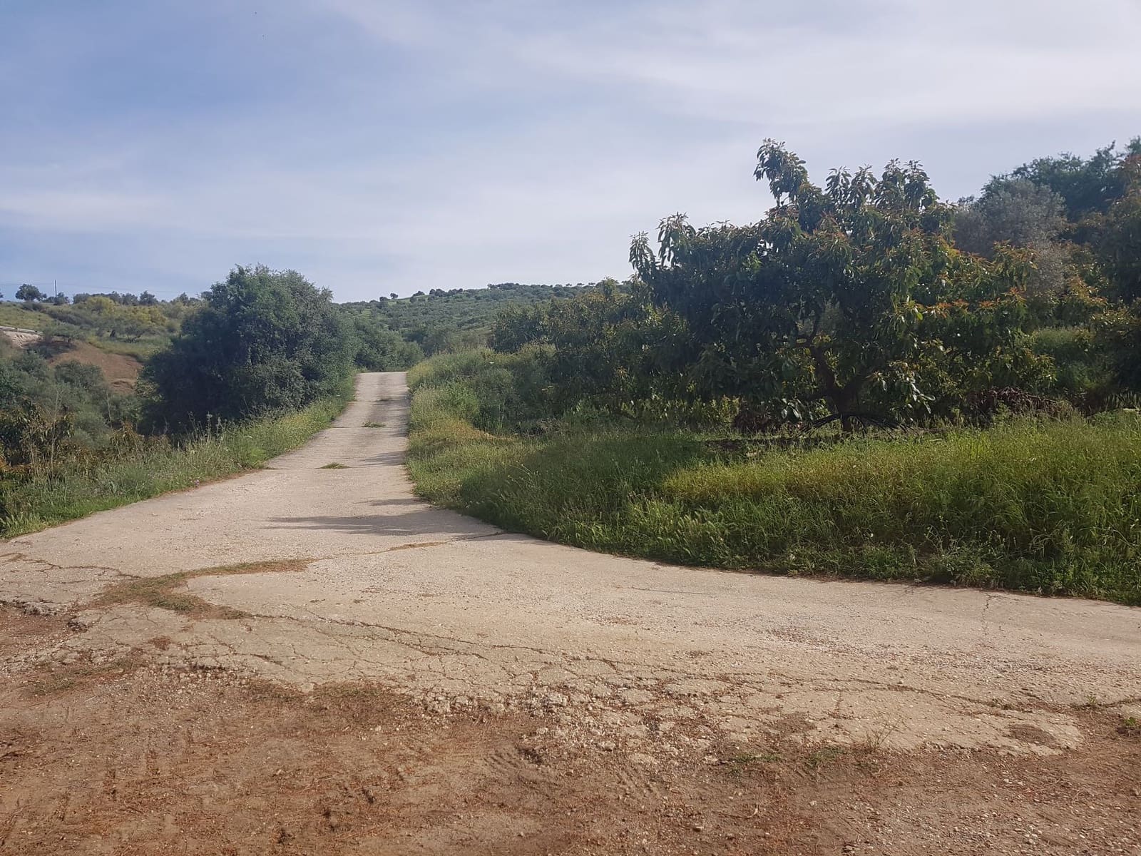 2 soveværelse Finca/Landehus til salg i Tolox med swimmingpool - € 299.000 (Ref: 6931119)