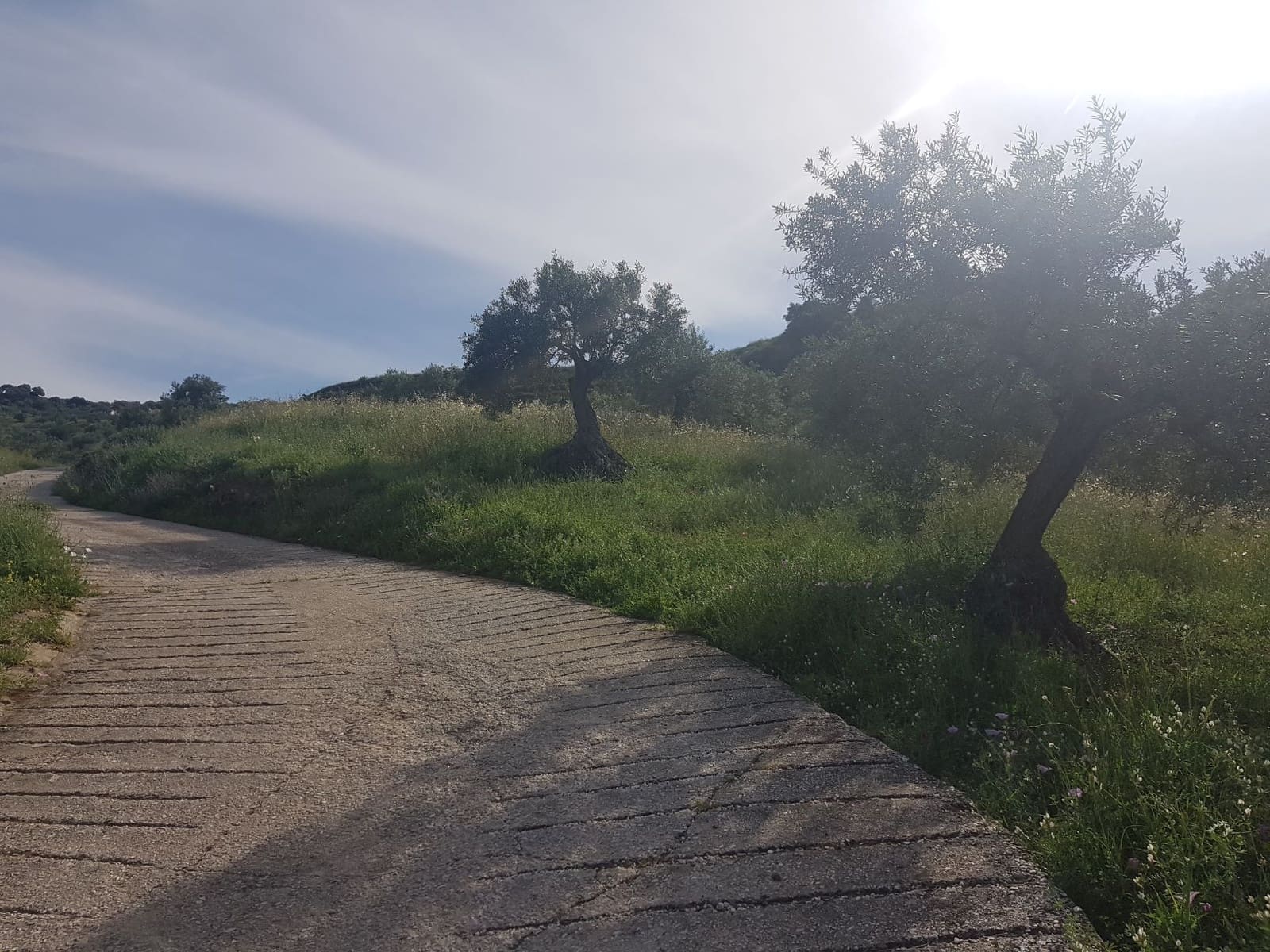 2 soveværelse Finca/Landehus til salg i Tolox med swimmingpool - € 299.000 (Ref: 6931119)