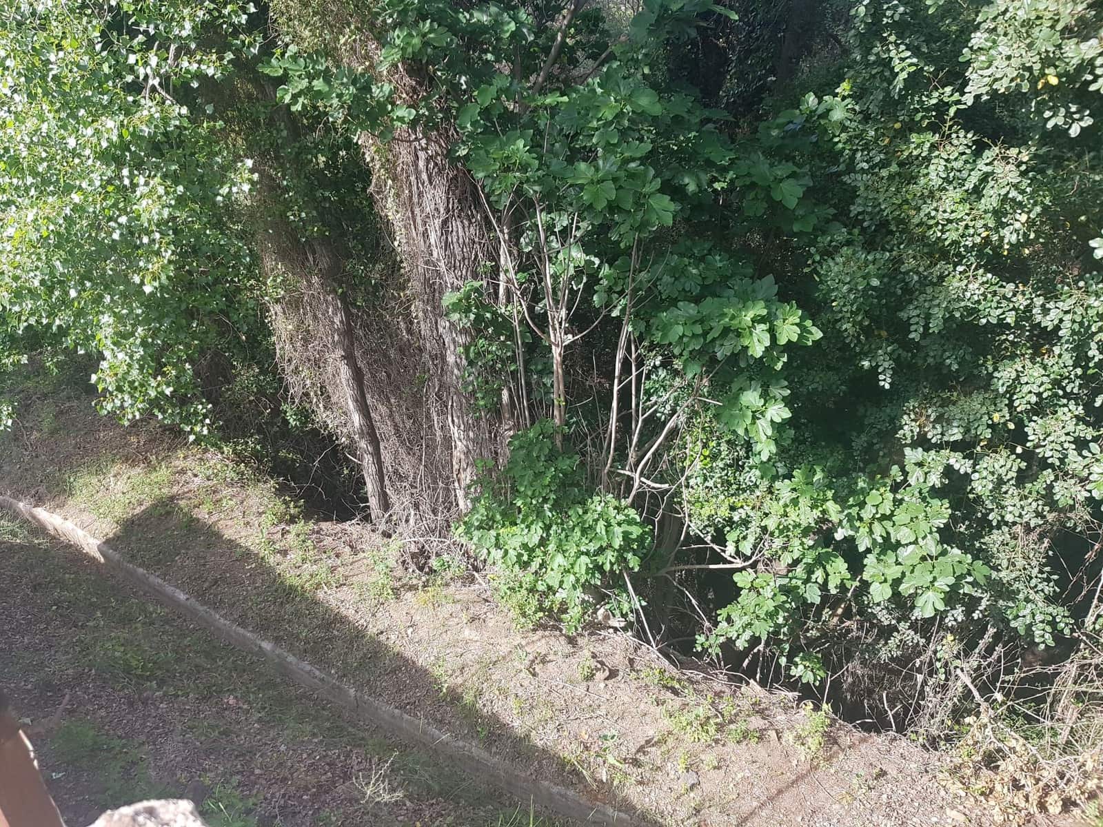 2 soveværelse Finca/Landehus til salg i Tolox med swimmingpool - € 299.000 (Ref: 6931119)