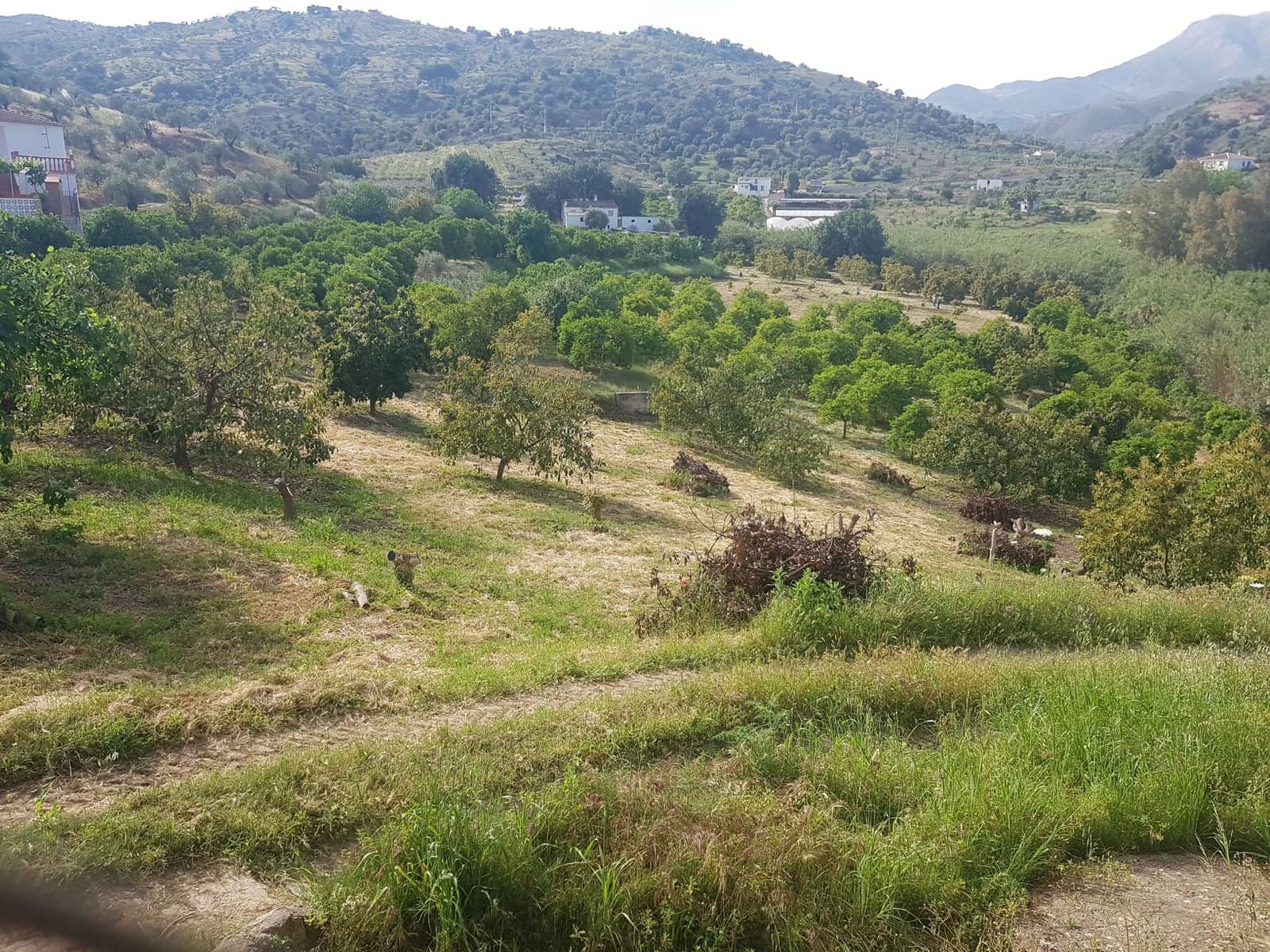 2 soveværelse Finca/Landehus til salg i Tolox med swimmingpool - € 299.000 (Ref: 6931119)