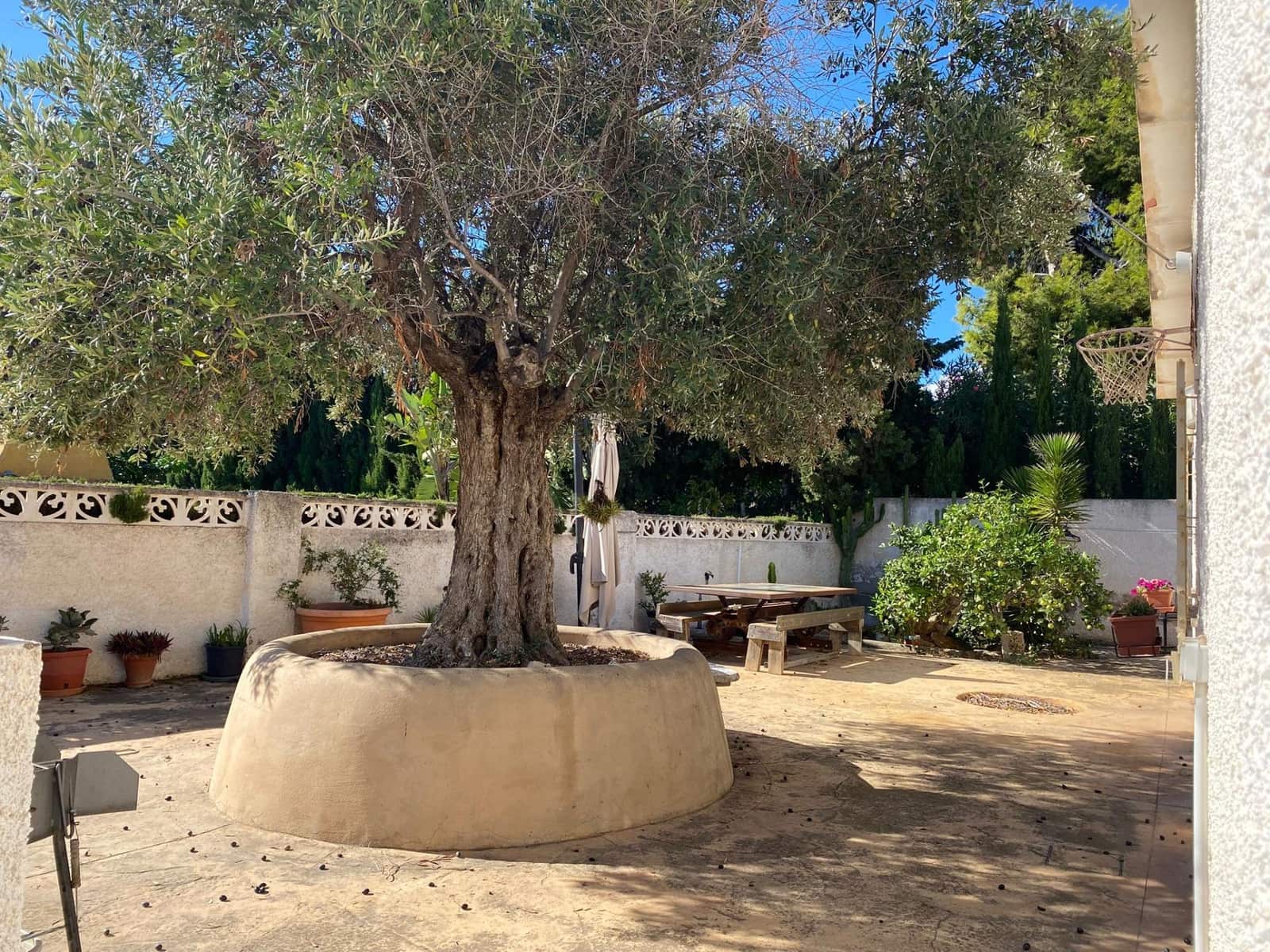 Adosado de 3 habitaciones en Playa de Muchavista en venta con piscina - 462.000 € (Ref: 9385644)