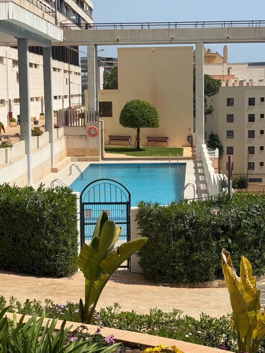 Piso de 1 habitación en Alicante / Alacant ciudad en venta con piscina - 365.000 € (Ref: 9833694)