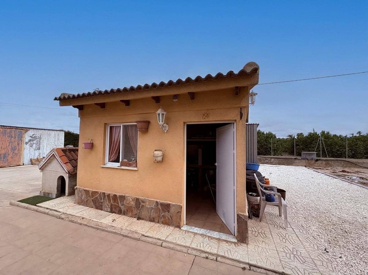 5 chambre Finca/Maison de Campagne à vendre à Elche / Elx avec piscine - 510 000 € (Ref: 9930813)