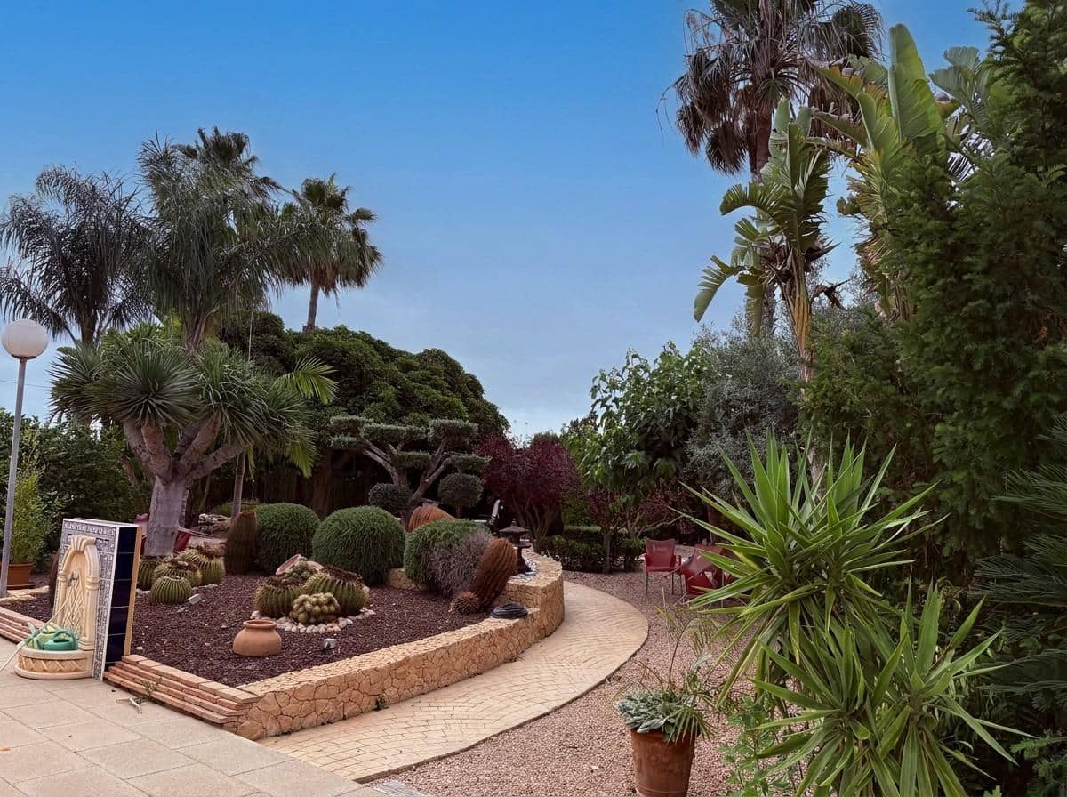5 chambre Finca/Maison de Campagne à vendre à Elche / Elx avec piscine - 510 000 € (Ref: 9930813)