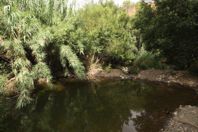 2 bedroom Finca/Country House for rent in Entrerrios - € 1,000 (Ref: 10100739)