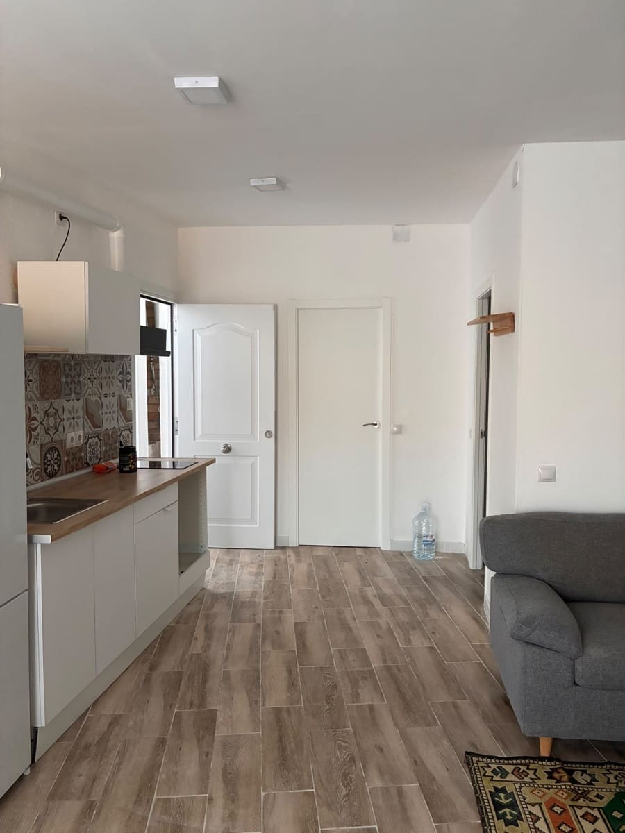1 sypialnia Mieszkanie do wynajęcia w Miasto Malaga - 1 200 € (Ref: 10103500)