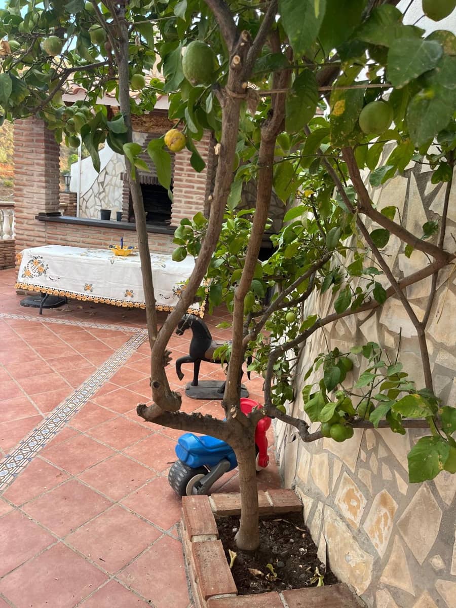 4 bedroom Townhouse for rent in Canillas de Aceituno with pool garage - € 1,400 (Ref: 10163315)