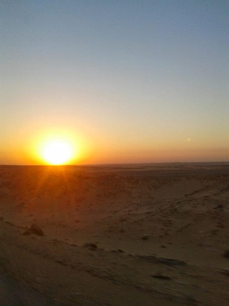 Studio til leje i Calahonda med swimmingpool - € 920 (Ref: 6369304)