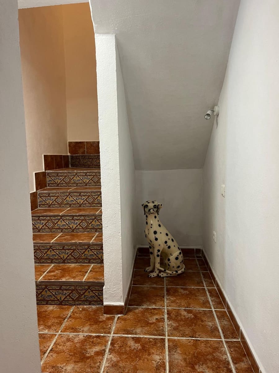 Undeveloped Land for rent in Masmullar - € 600 (Ref: 8344375)