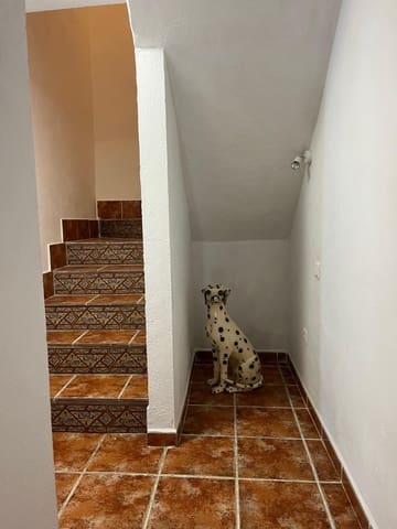 Undeveloped Land for rent in Masmullar, Comares - € 600 (Ref: 8344375)