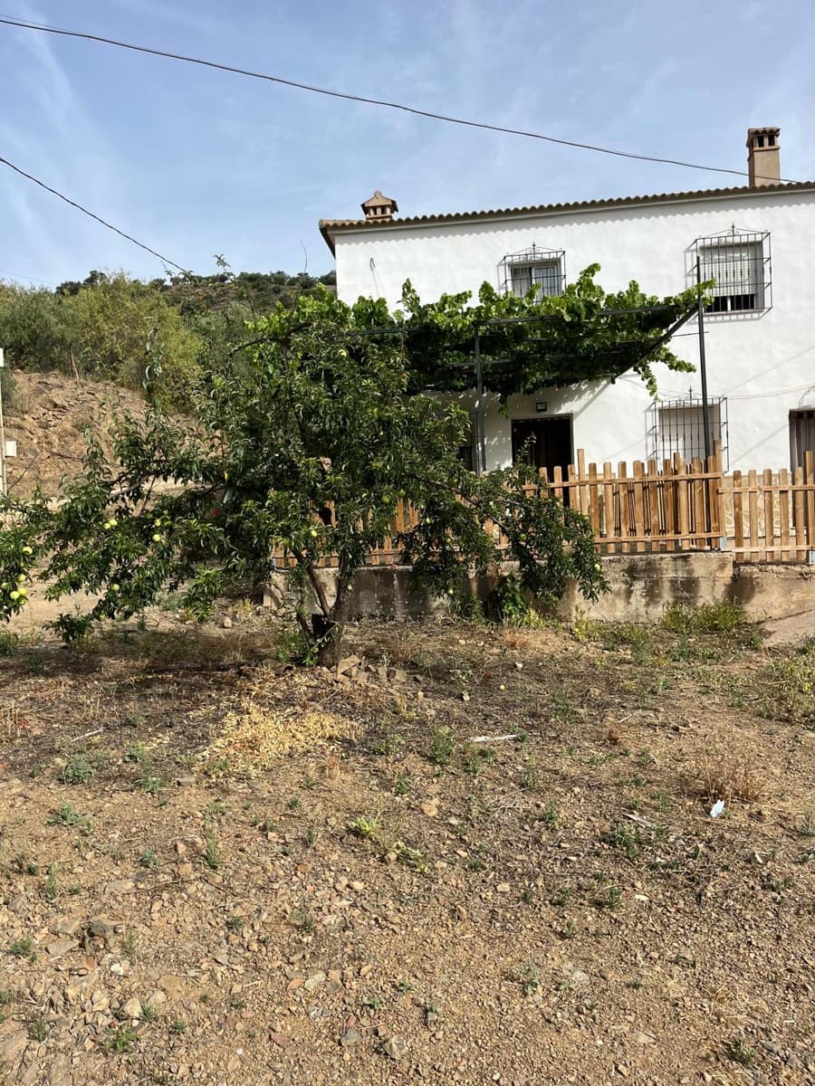 Undeveloped Land for rent in Masmullar - € 600 (Ref: 8344375)
