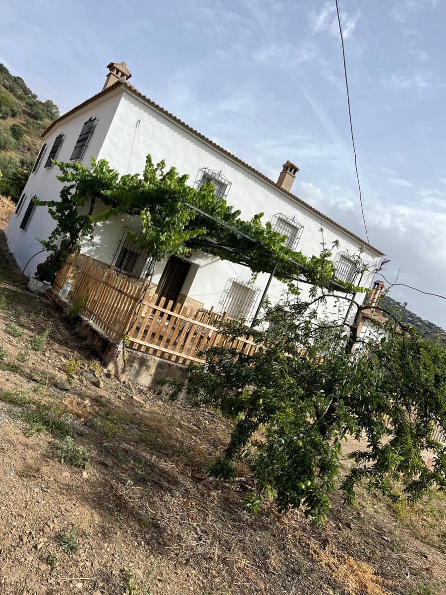 Undeveloped Land for rent in Masmullar - € 600 (Ref: 8344375)