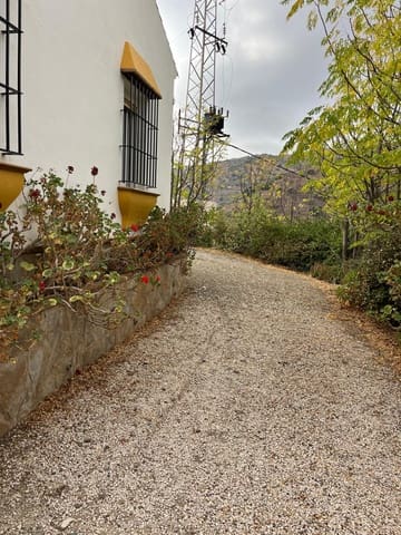 Terreno Non Edificato da affittare in Riogordo - 1.100 € (Rif: 8580450)