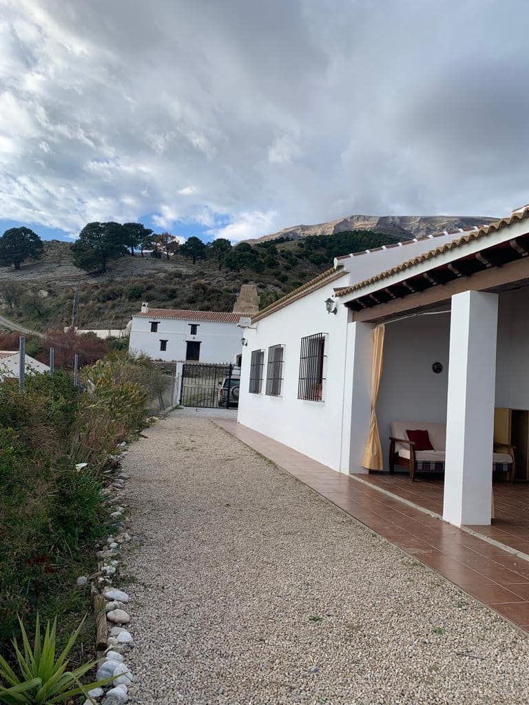 Undeveloped Land for rent in Sedella - € 900 (Ref: 8738866)